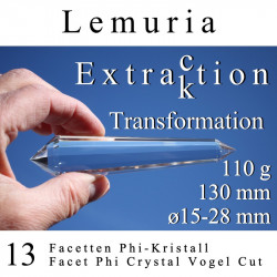 Lemuria 13 Facetten Phi-Kristall Extraktion Vogel cut