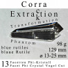 Corra 13 Facetten Phi-Kristall Extraktion blaue Rutile Vogel Cut