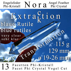 Nora 13 Facet Phi Crystal Extraction blue Rutiles Vogel Cut