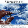 Saraswati 13 Facetten Phi-Kristall Extraktion & Transformation Vogel Cut