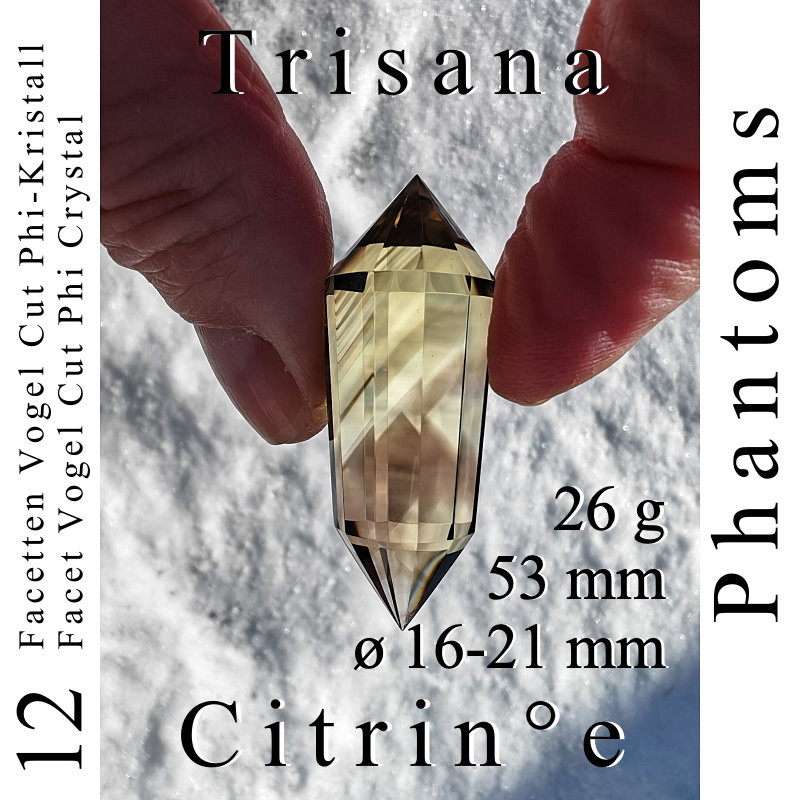 Trisana 12 Facetten Citrin Vogel Cut Phi-Kristall mit Phantomen