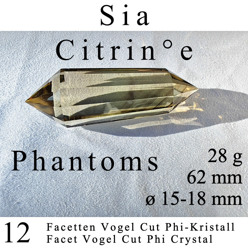 Sia 12 Facetten Citrin Vogel Cut Phi-Kristall mit Phantomen