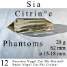 Sia 12 Facetten Citrin Vogel Cut Phi-Kristall mit Phantomen