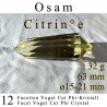 Osam 12 Facetten Citrin Vogel Cut Phi-Kristall