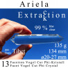 Ariela 13 Facetten Vogel Cut Phi-Kristall The Four Winds Extraktion