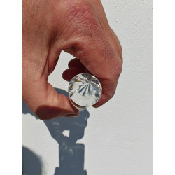 Donna 24 Facetten Vogel Cut Phi-Kristall The Four Winds Extraktion