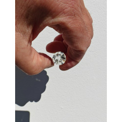 Seepferdchen 12 Facetten Vogel Cut Phi-Kristall