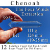 Chenoah 12 Facetten Vogel Cut Phi-Kristall The Four Winds