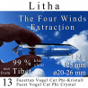 Litha 13 Facetten Vogel Cut Phi-Kristall The Four Winds Extraktion
