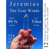 Jeremias 12 Facetten Vogel Cut Phi-Kristall The Four Winds