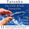 Tatonka 13 Facet Vogel Cut Phi Crystal The Four Winds Extraction
