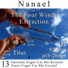 Nanael 13 Facetten Vogel Cut Phi-Kristall The Four Winds Extraktion
