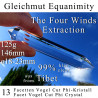 Equanimity 13 Facet Vogel Cut Phi Crystal The Four Winds Extraction