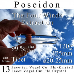 Poseidon 13 Facetten Vogel Cut Phi-Kristall The Four Winds Extraktion