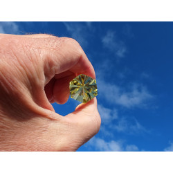 Citrin 6 Portale 12-6-24 Facetten Vogel Cut Phi-Kristall