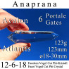 Anaprana 6 Portale 12-6-18 Facetten Vogel Cut Phi-Kristall