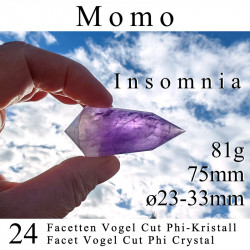 Momo Amethyst 24 Facetten Vogel Cut Phi-Kristall
