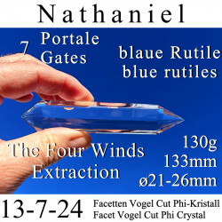 Nathaniel 7 Portale 13-7-24 Facetten Vogel Cut Phi-Kristall  mit blauen Rutilen
