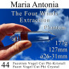 Maria Antonia 44 Facet Vogel Cut Phi Crystal