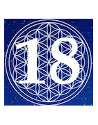 18 Facetten Phi-Kristall für Schutz, Schattenthemen, Täuschung und Betrug
