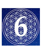 6 Gate Phi Crystals Entire body energy
